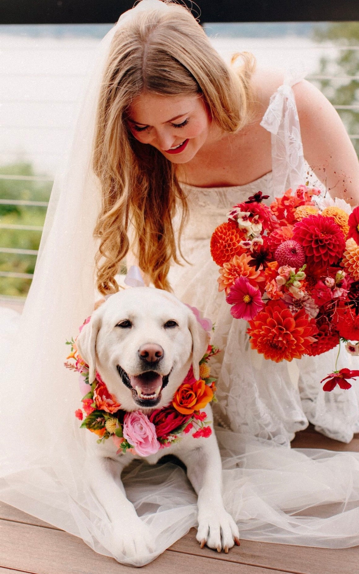 Vibrant wedding bouquet with dog flower collar.