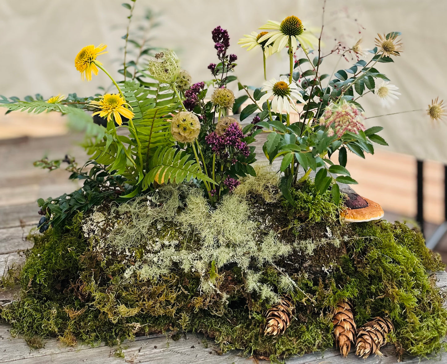Woodland centerpiece at Islandwood on Bainbridge Island.