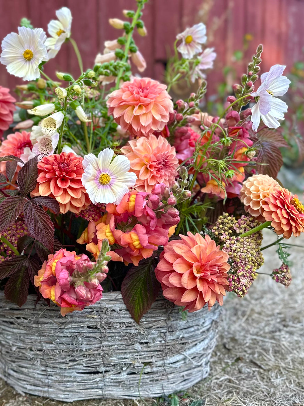 Any Occasion Flower Basket