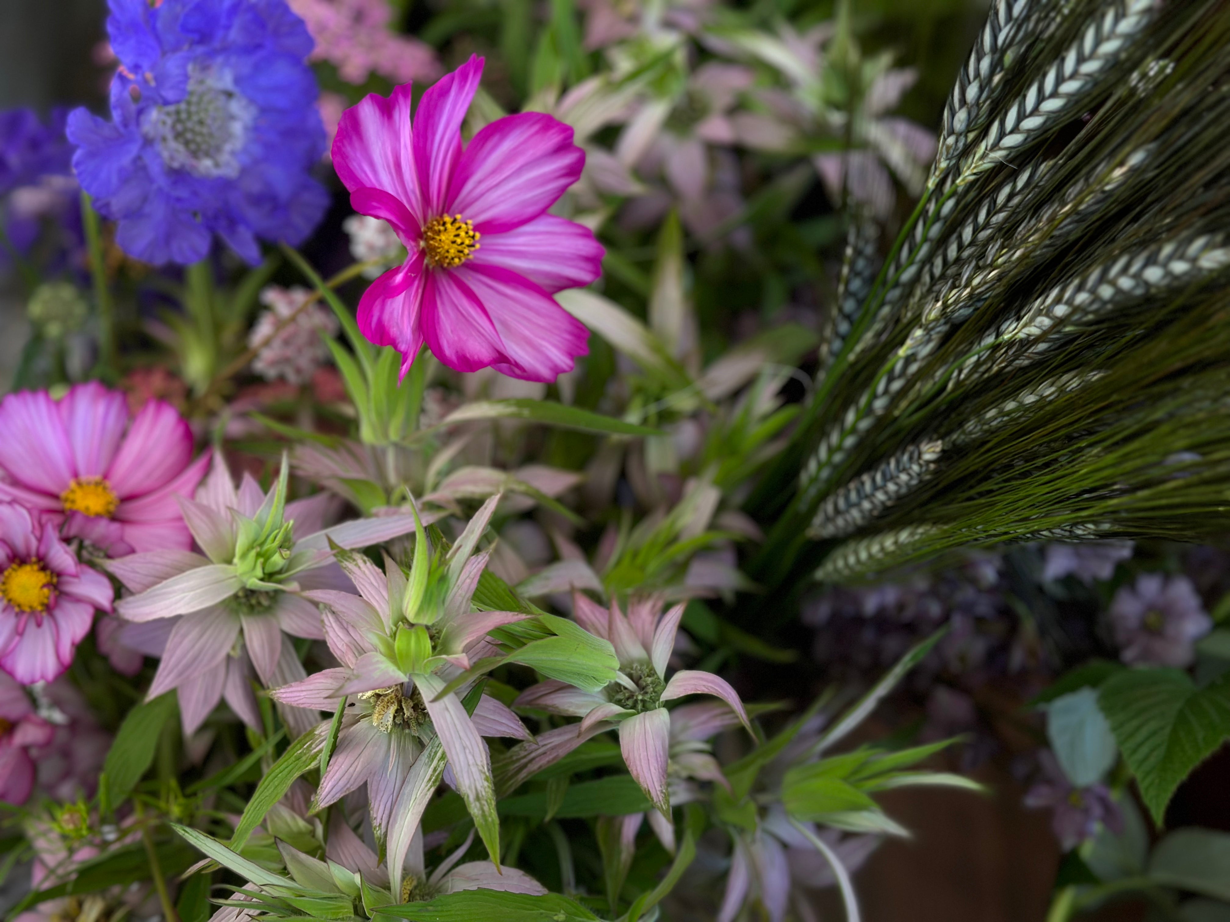 DIY Flowers