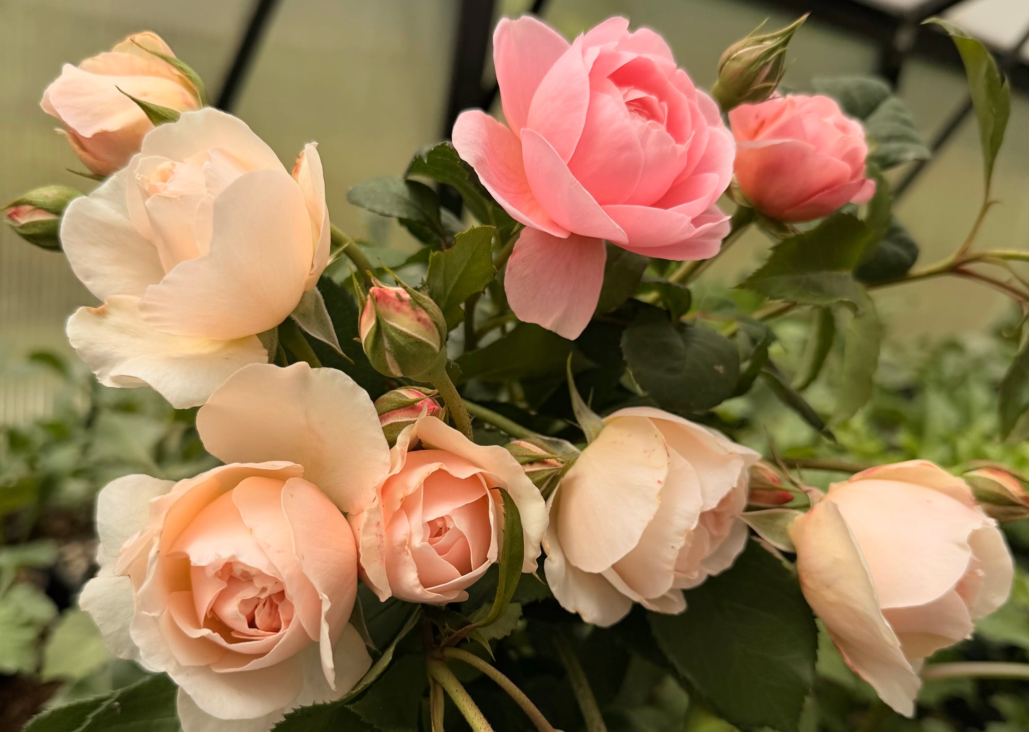 Wedding Florals
